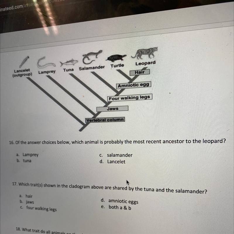 What is number 16 please-example-1