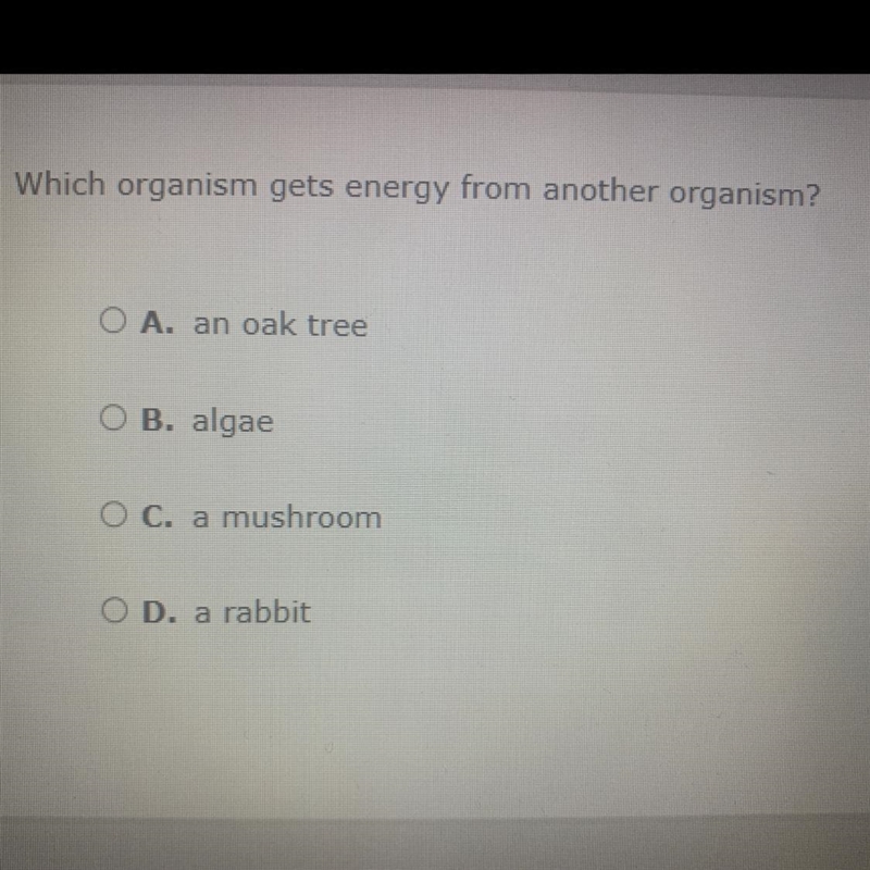 1pt Which organism gets energy from another organism? O A. an oak tree O B. algae-example-1