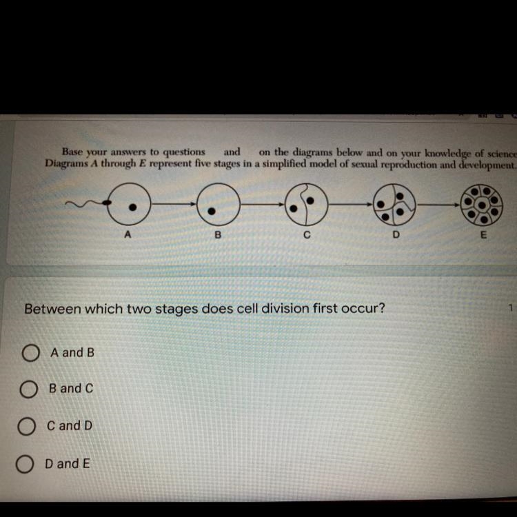 HELP!!!!!! I don’t get it plz help-example-1