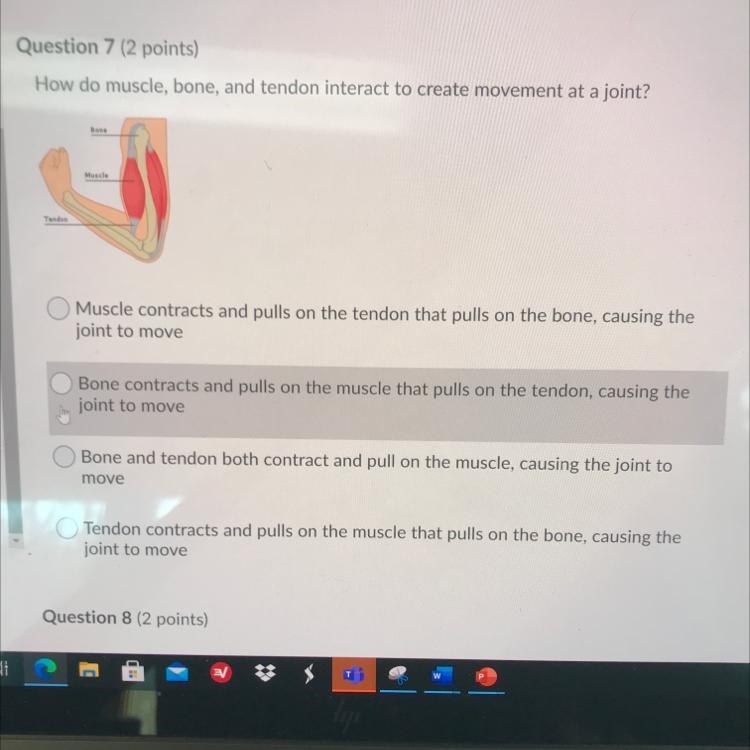 Question 7 (2 points) How do muscle, bone, and tendon interact to create movement-example-1