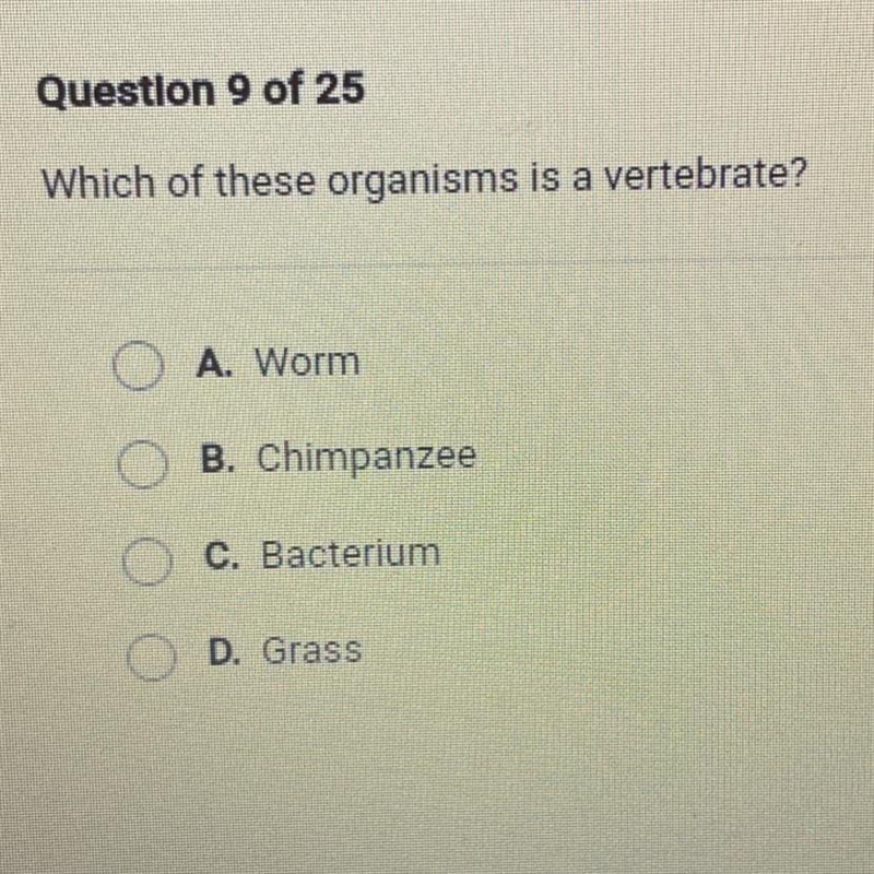 Which of these organisms is a vertebrate?-example-1