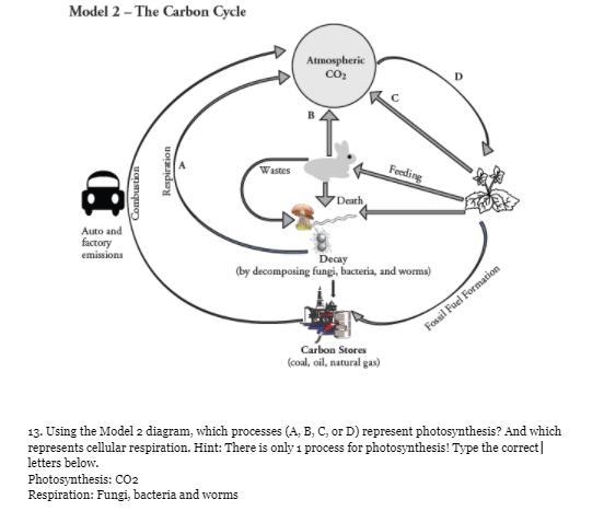 Help please, 30 points. *VIEW ATTACHMENT BELOW* Which represents cellular respiration-example-1