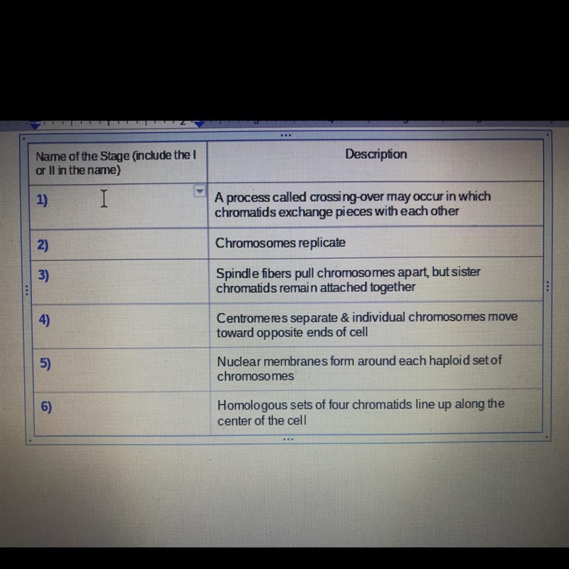 Name the stage (include the I or II in the name)-example-1