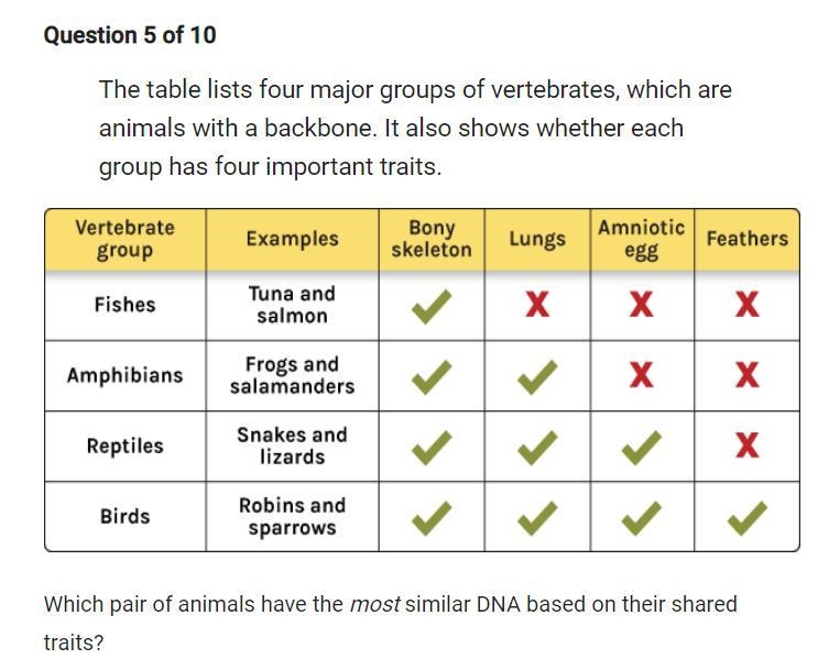 The table lists four major groups of vertebrates, which are animals with a backbone-example-1