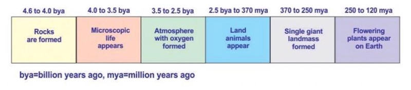 The diagram below shows a portion of the geologic time scale. Based on the time scale-example-1