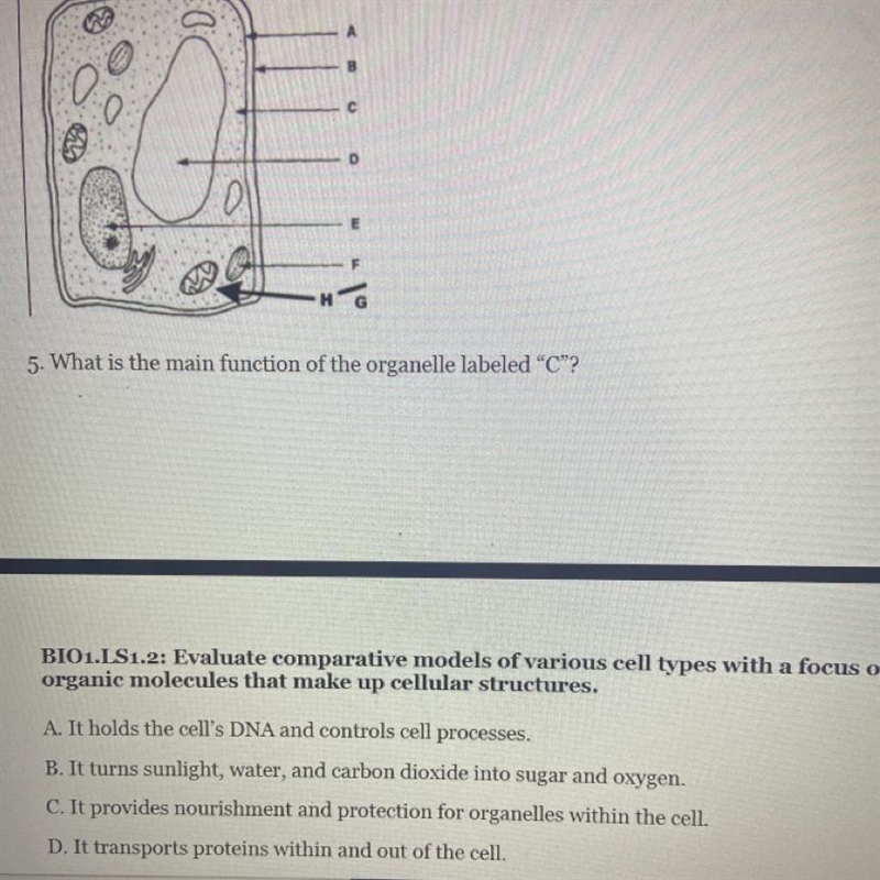 Help me. Question is in the picture.-example-1