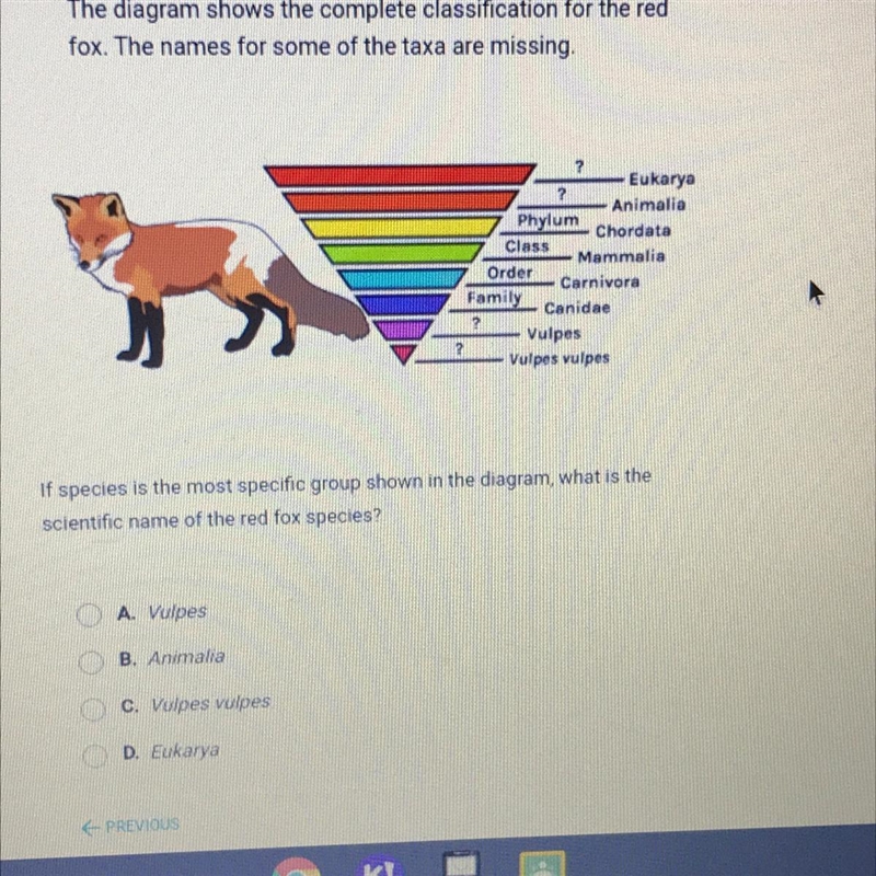 If species is the most specific group shown in the diagram, what is the scientific-example-1