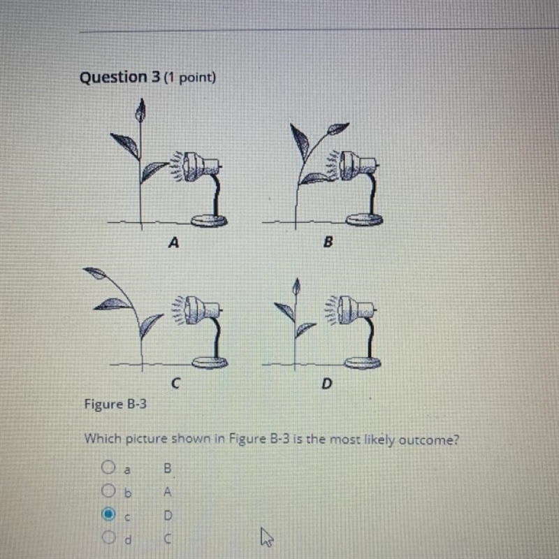 Which picture shown in figure b-3 is the most likely outcome-example-1