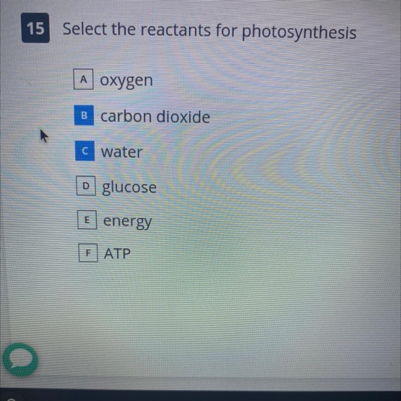 15 Select the reactants for photosynthesis A oxygen B carbon dioxide c water < D-example-1