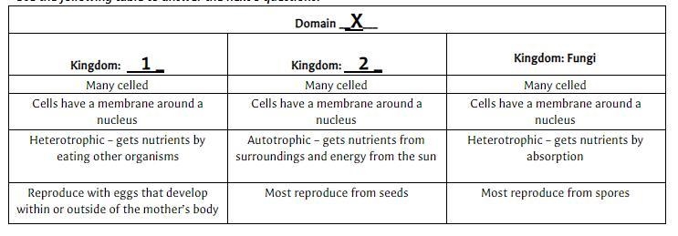 Based on the information in the table above, what Domain name should replace the X-example-1