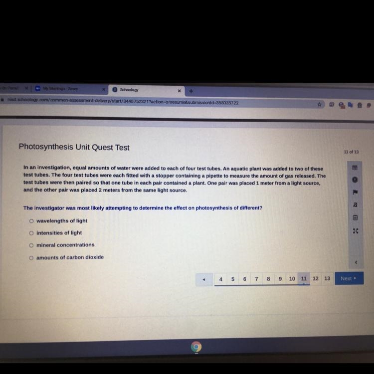 The investigator was most likely attempting to determine the effect on photosynthesis-example-1