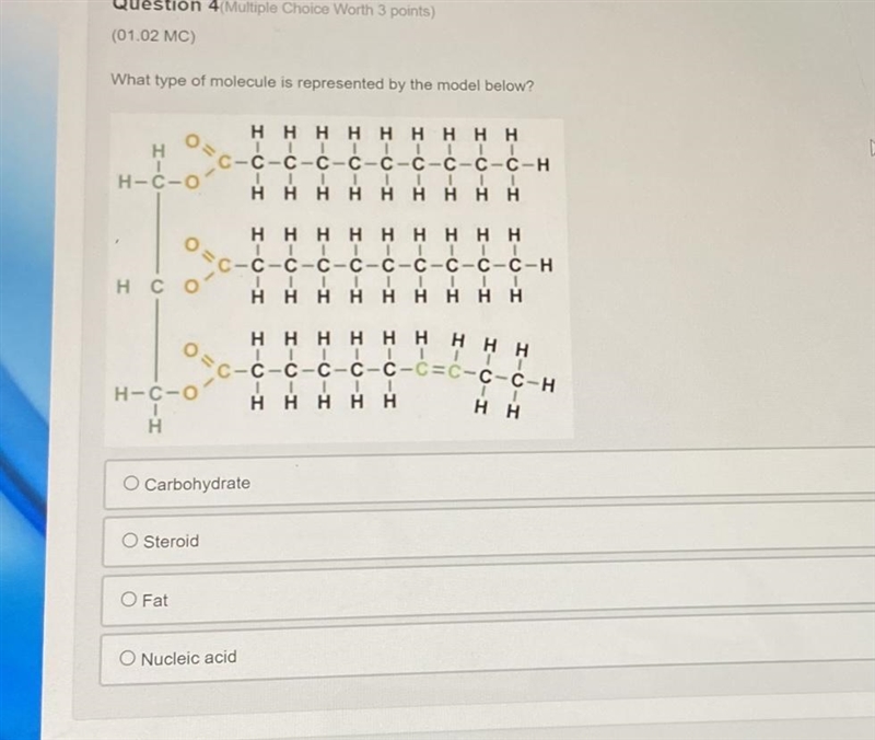 What type of molecule is represented by the model below? Carbohydrate Steroid Fat-example-1