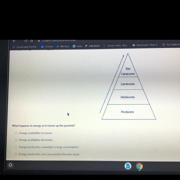 What happens to energy as it moves up the pyramid? Energy availability increases. O-example-1