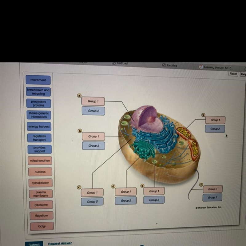 Can someone please help me with this I don’t know how to label them I really need-example-1