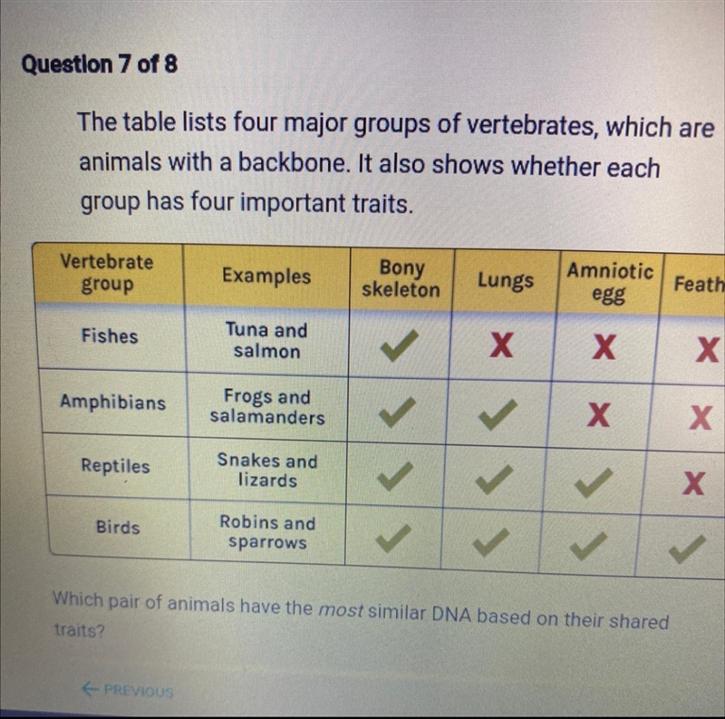 Answers A. a snake and a lizard B. A tuna and a sparrow C. A robin and a salamander-example-1