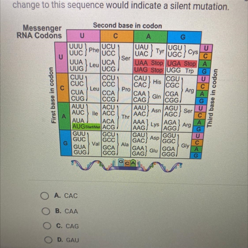 A part of an mRNA has the sequence CAU. Use the table below to figure out which amino-example-1