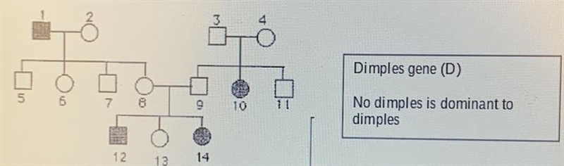 How many family members have dimples? Please help!-example-1