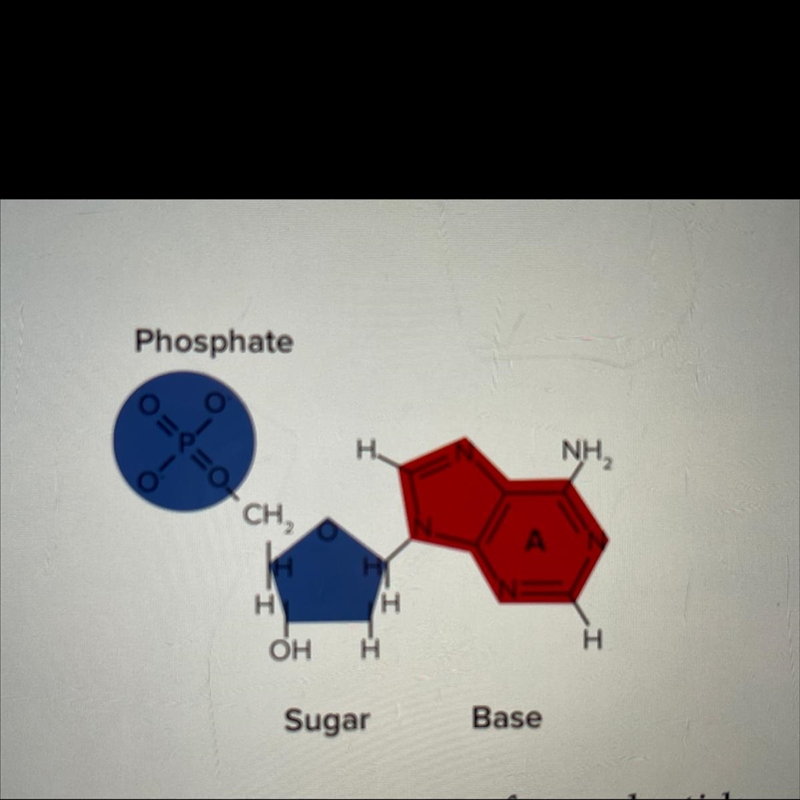 Which type of base is shown? How can you tell?-example-1