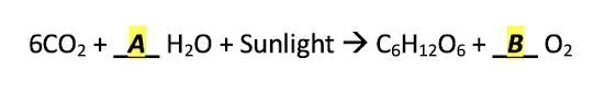 In order to balance the chemical equation below, the coefficient at B should be-example-1