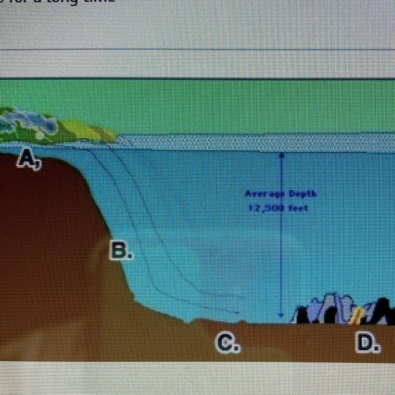 In the picture of the ocean floor, letter B marks what landform? A) rift zone B) ocean-example-1