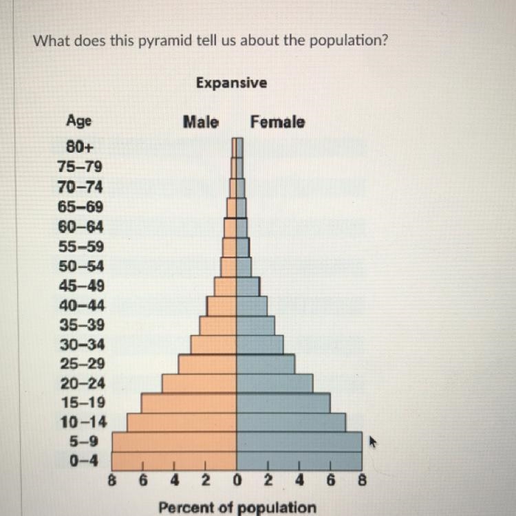 What does this pyramid tell us about the population? The population is growing. The-example-1