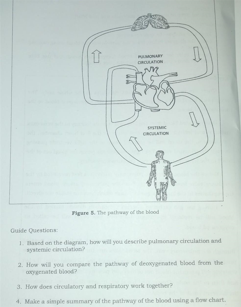 Need an answer, please need an answer, please. answer the 4 guide question no copy-example-1