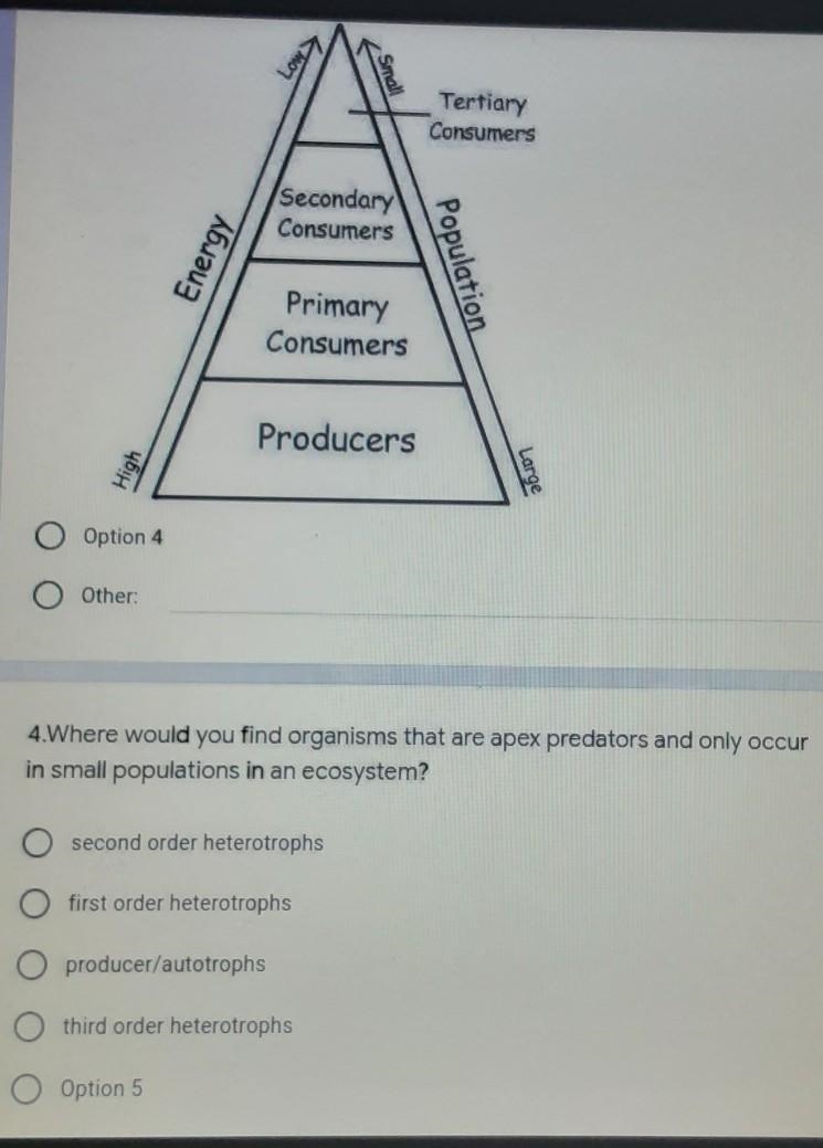 Can anyone help me please? and the picture comes with question ​-example-1