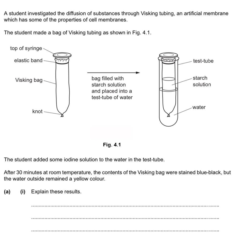 A student investigated-example-1