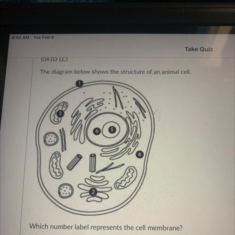 Which number label represents the cell membrane? 1 2 4 6-example-1