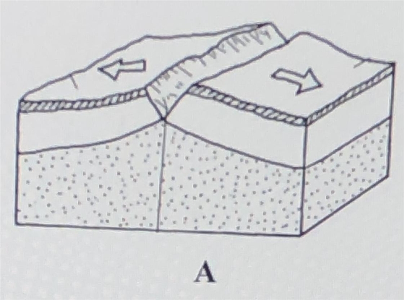 Describe the movement of the tectonic plates in model A. What is this situation called-example-1