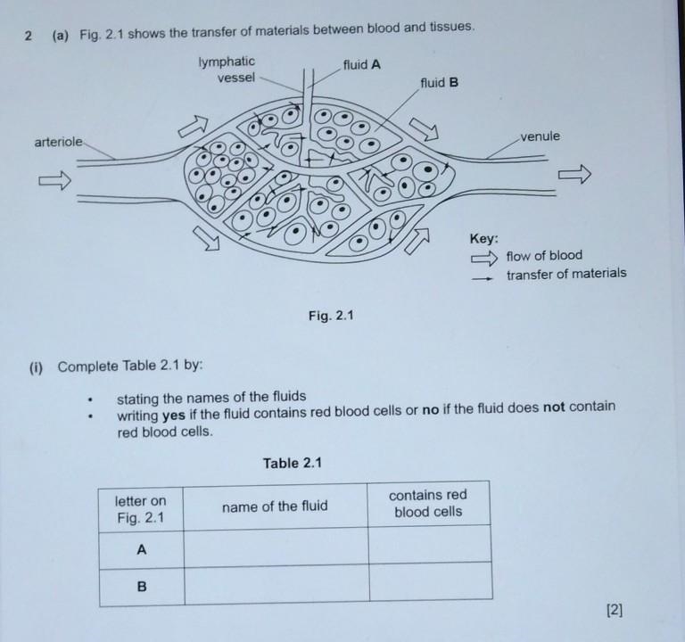 Please answer!!!! really need to submit this soon!!​-example-1