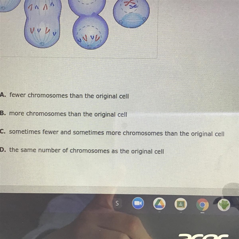 When a cell goes through mitosis and cell division, the two new cells have _?-example-1