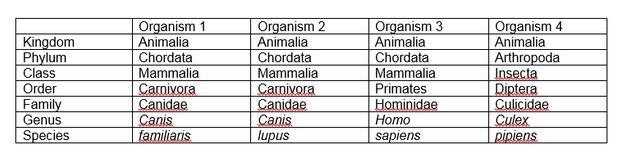 Which Two Organisms Are Closely Related, How do you know they share the same ancestors-example-1