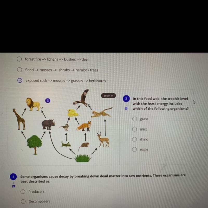 In this food wed, the trophic level with the least energy includes which of the following-example-1