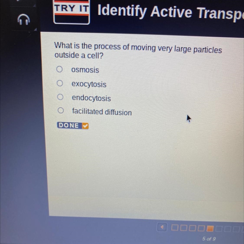 What is the process of moving very large particles outside a cell? 1.Osmosis 2.Exocytosis-example-1