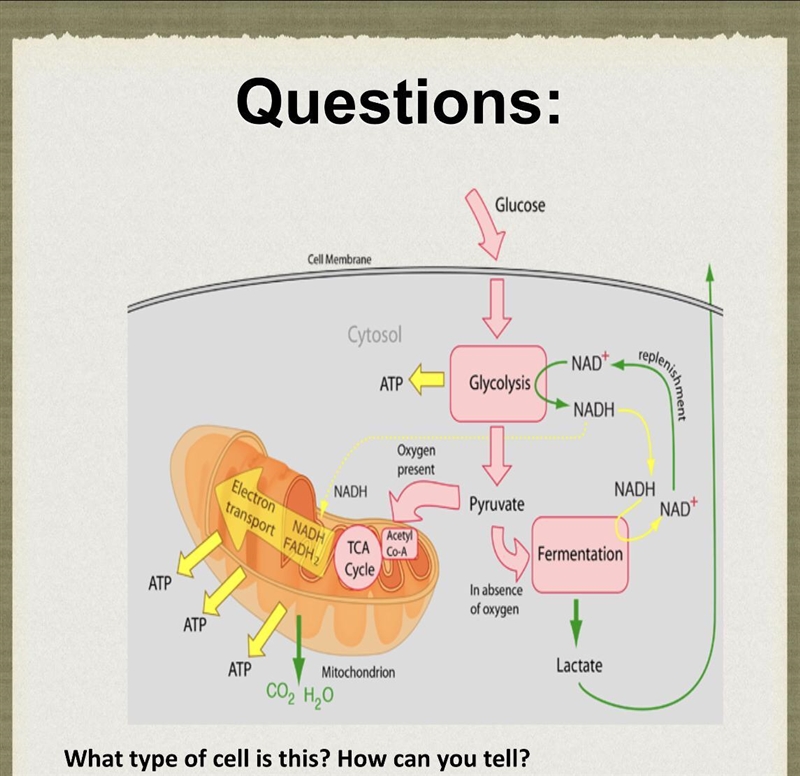 I really need help with this... ITS DUE TODAY.......-example-1