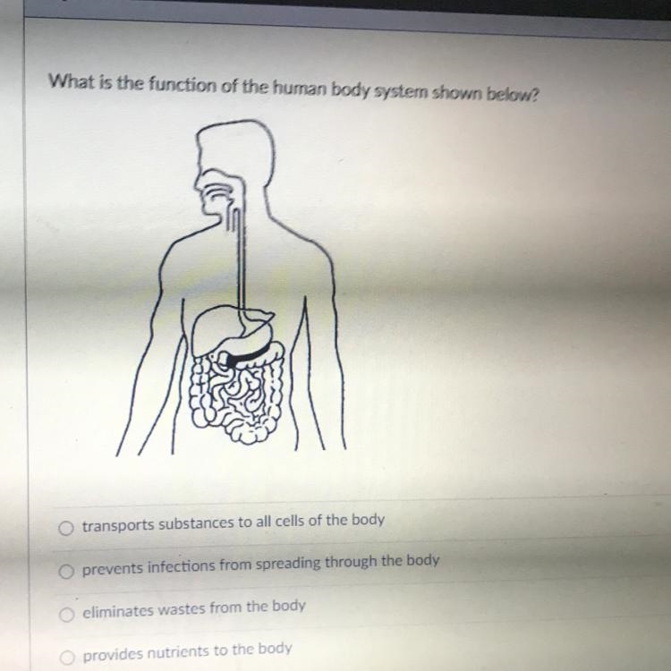 What is the function body system shown below?-example-1