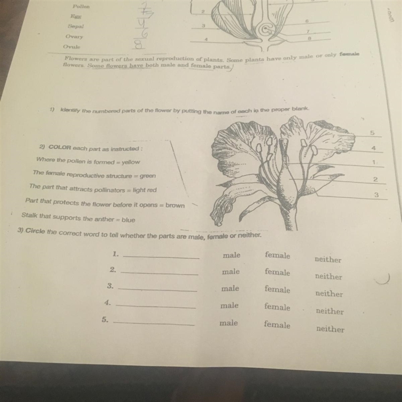 On the second flower tell me what to color(read the instructions) will give brain-example-1