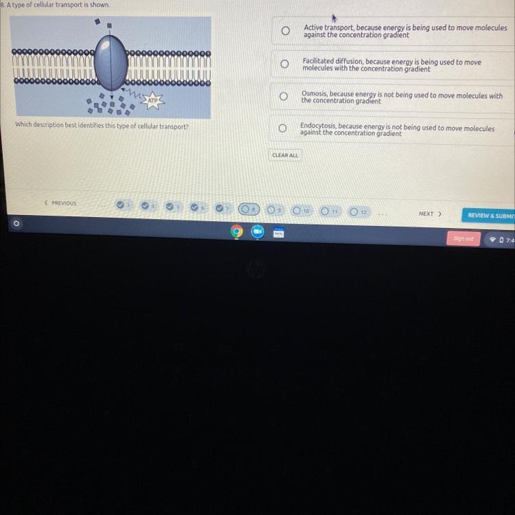 Which description best identifies this type of cellular transport?-example-1