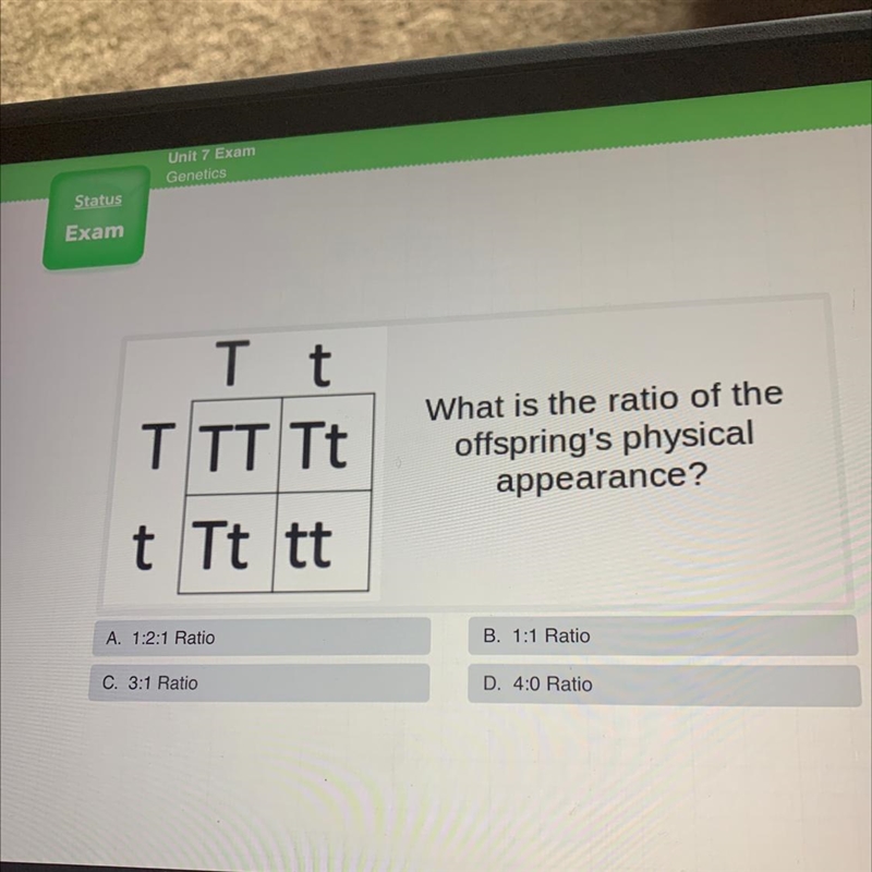 What is the ratio of the offsprings physical appearance-example-1