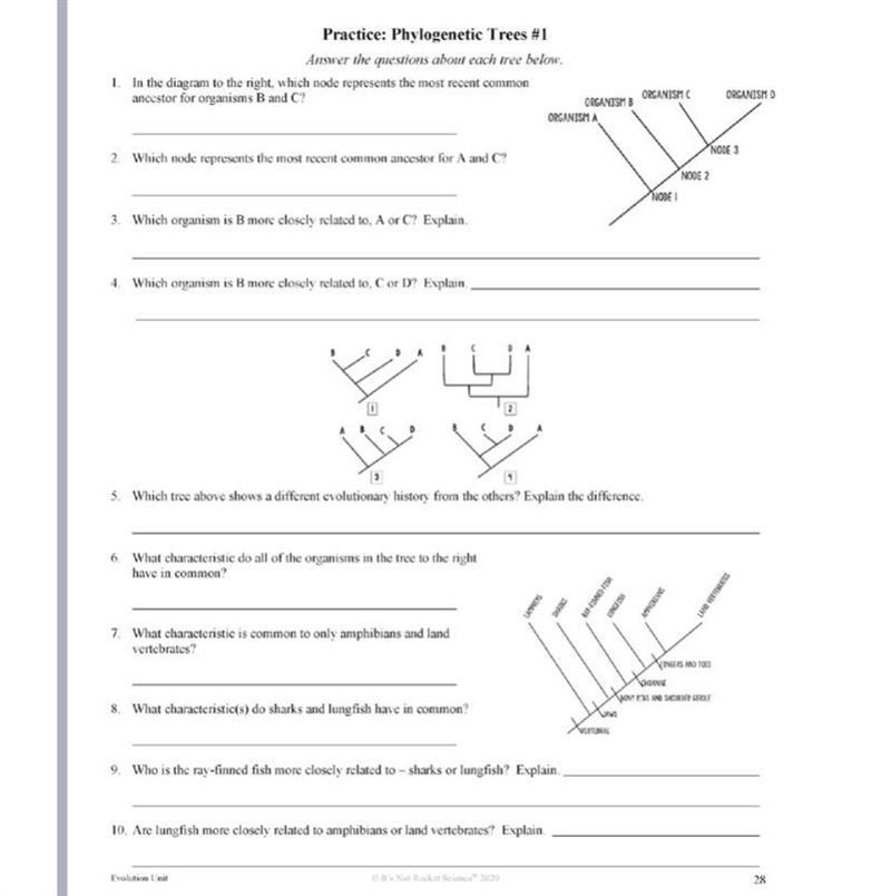 Can you answer what’s on this worksheet?-example-1