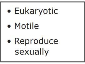 This list of characteristics describes organisms in the ________. Question options-example-1