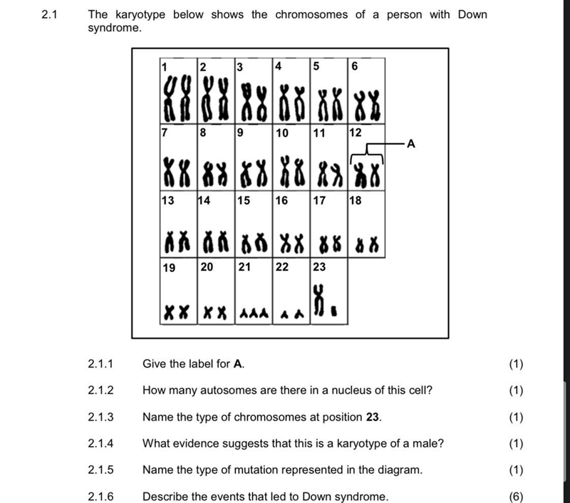 Answers to all 6 questions please (83points) Try and get all 6 right-example-1