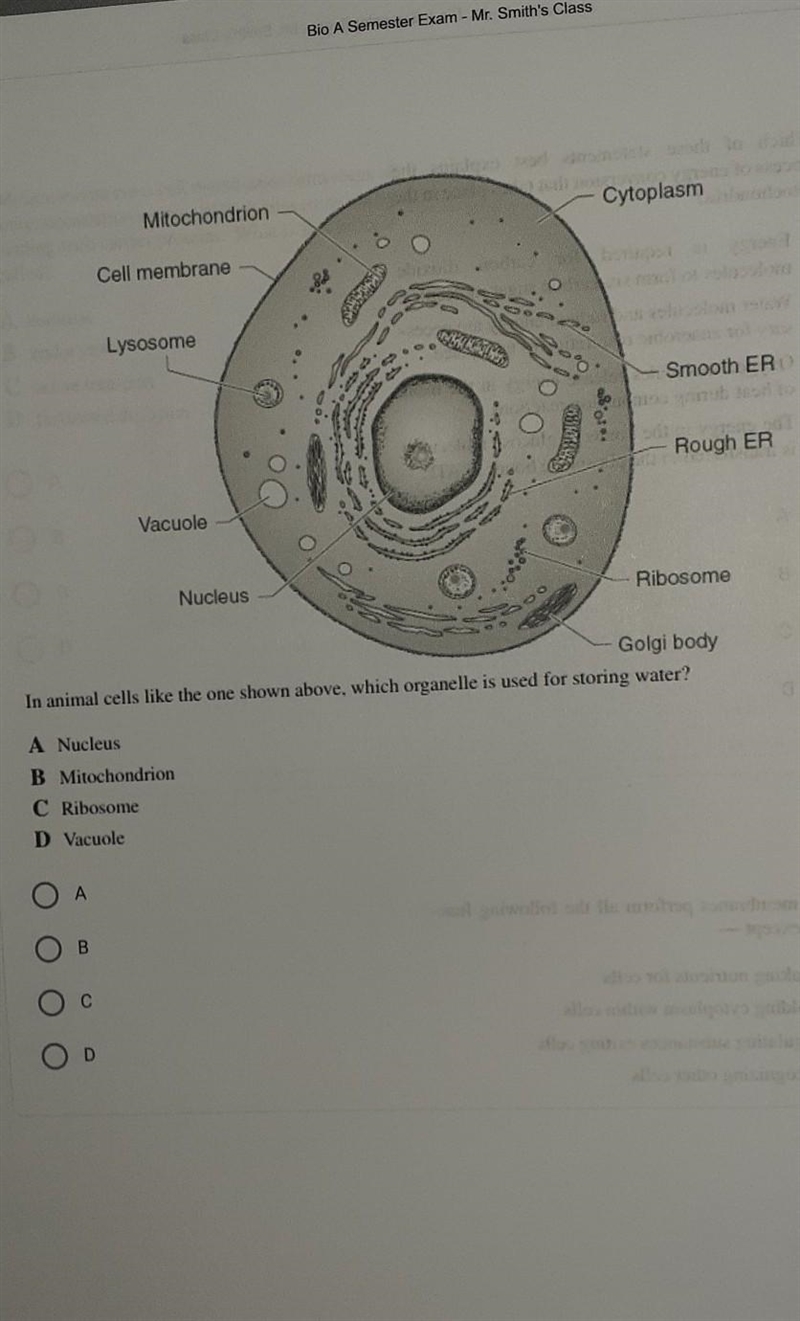 This is what I need help with ​-example-1