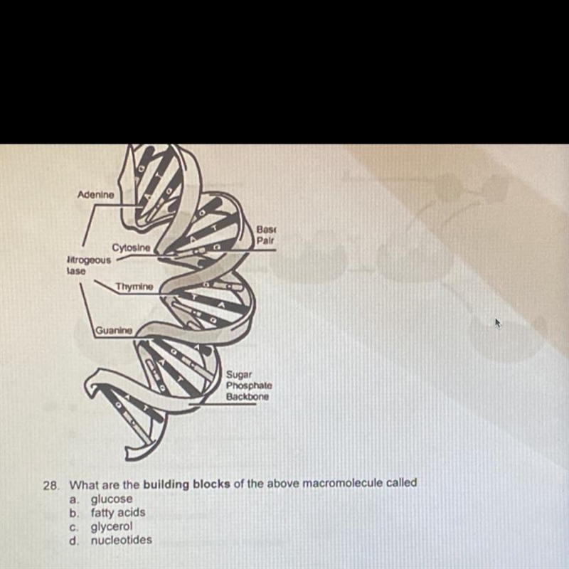 Please. help! thank you :)-example-1