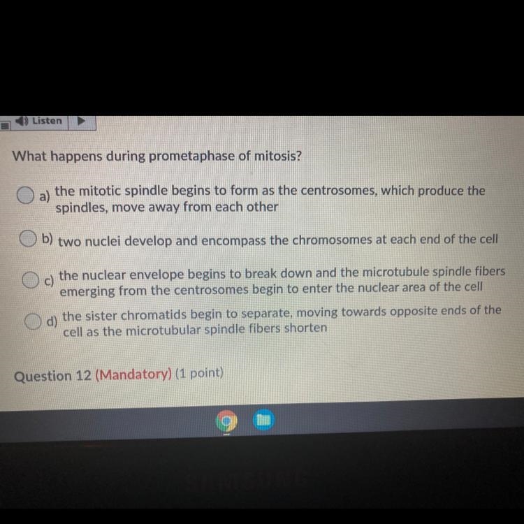 What happens during prometaphase of mitosis?-example-1