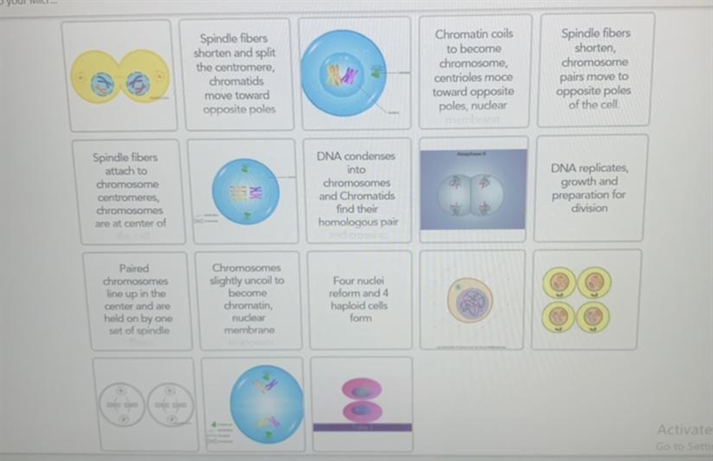 Can someone help, u have to match defintions with pictures-example-1