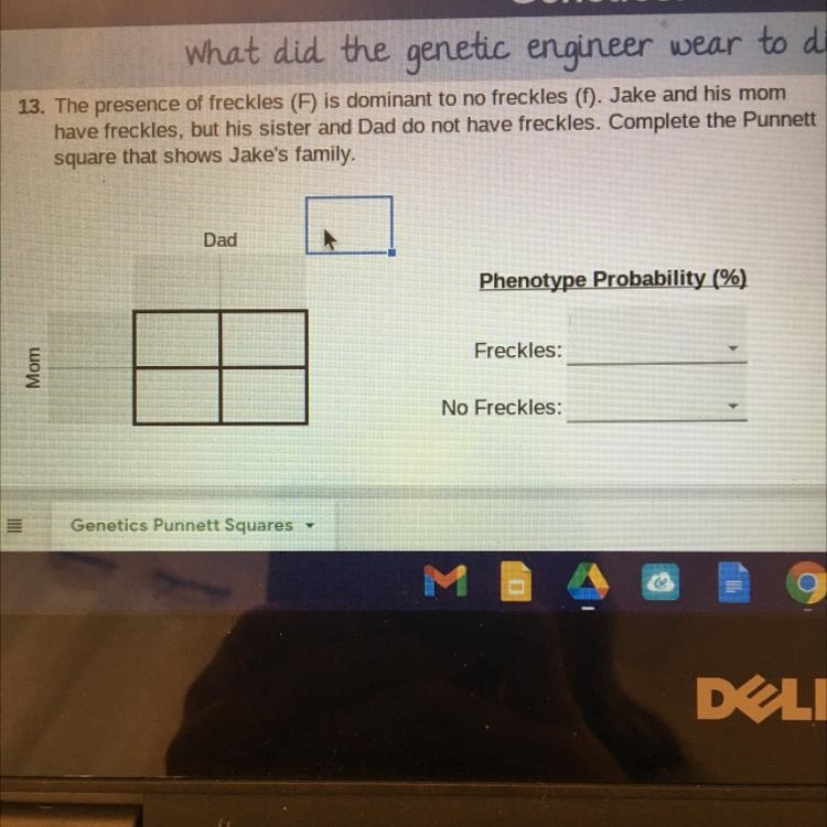 If you click on the picture there is a punnet square that needs to be filled out please-example-1