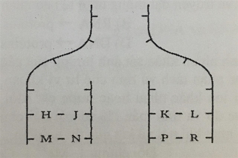 The diagram below depicts part of the DNA structure during replication. Knowing that-example-1