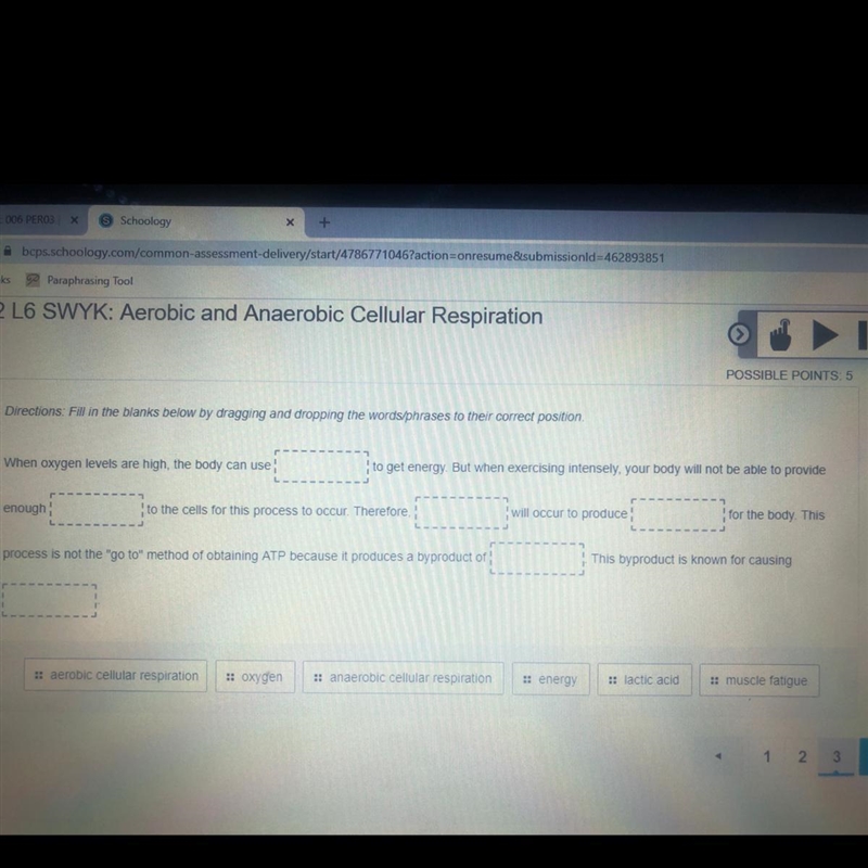 Aerobic and Anaerobic Cellular Respiration-example-1